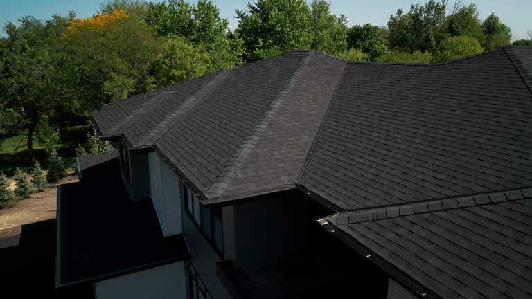 Professional Roofing in Western Springs, IL