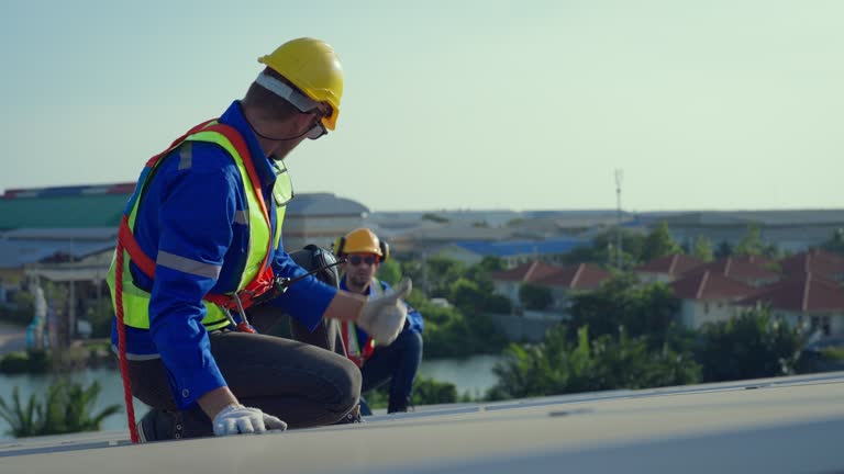 Best Roof Insulation Installation  in Western Springs, IL