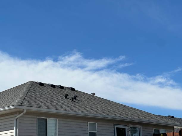 Fast & Reliable Emergency Roof Repairs in Western Springs, IL
